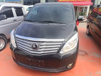 Forthing Lingzhi PLUS