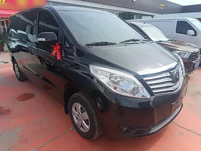 Forthing Lingzhi PLUS