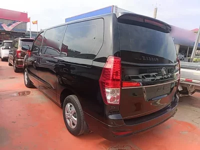 Forthing Lingzhi PLUS