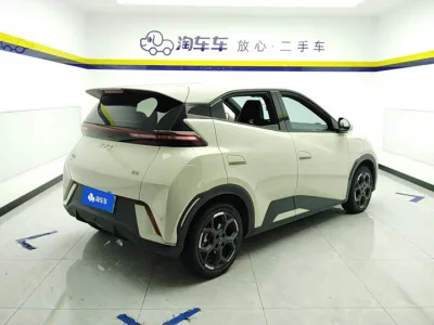 BYD Seagull