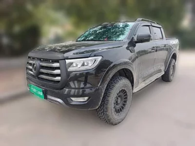 Great Wall Poer, 2021 — купить с доставкой из Китая