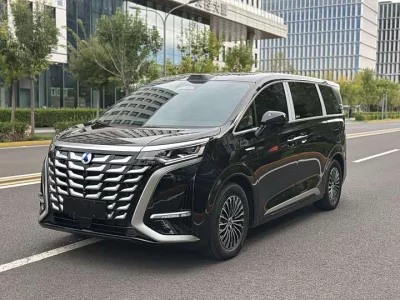 Denza D9, 2026 — купить с доставкой из Китая