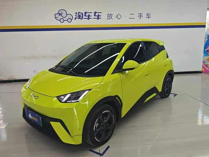 BYD Seagull