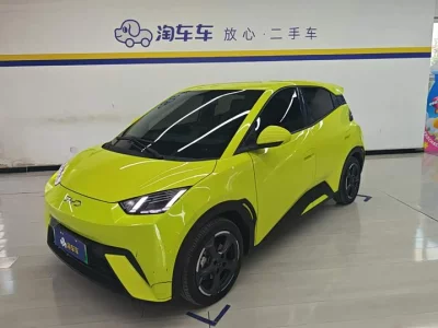 BYD Seagull