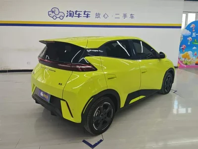 BYD Seagull