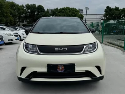 BYD Dolphin