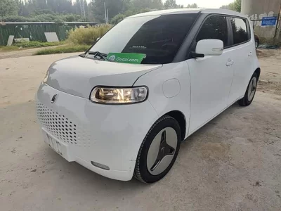 ORA White cat, 2020 — купить с доставкой из Китая