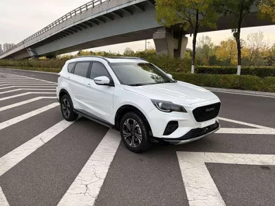 SOUEAST DX8S