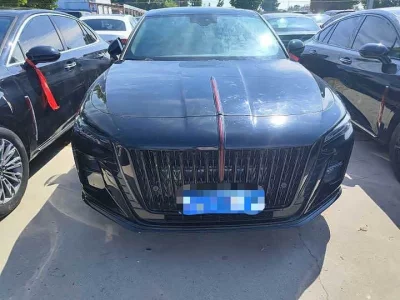 Hongqi H5, 2024 — купить с доставкой из Китая