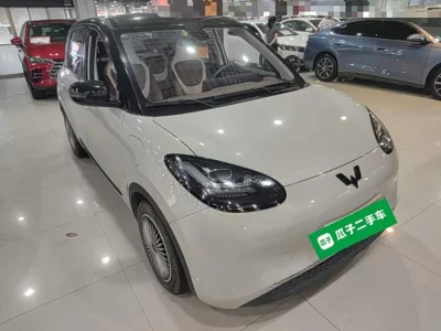 Wuling Bingo