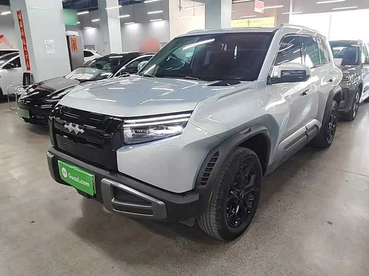 BYD Leopard Titanium 3