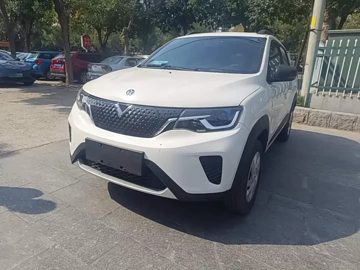 Venucia e30