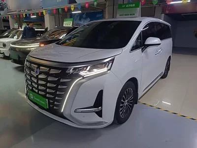 Denza D9