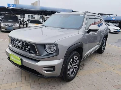 Haval H-Dog, 2024 — купить с доставкой из Китая