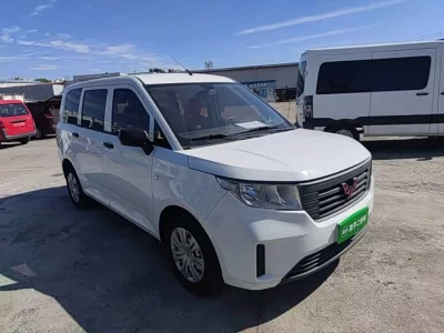 Wuling Hongguang PLUS