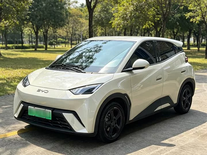 BYD Seagull