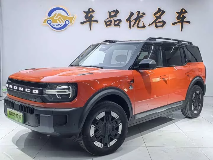 Ford Smart and Fun Horse