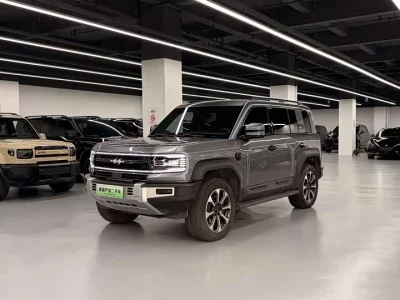 BYD Leopard Leopard 5