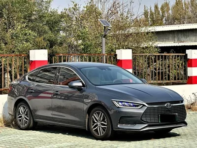 BYD Qin Pro New Energy