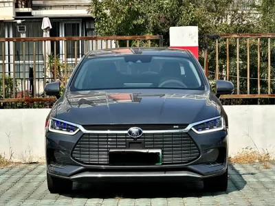 BYD Qin Pro New Energy
